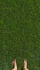 Walking barefoot on soft green grass, closeup. Green grass texture - well-groomed turf in the garden.