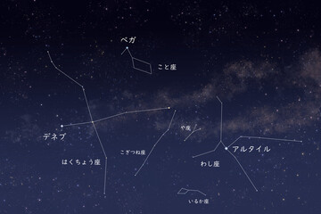 わし座・はくちょう座・こと座で構成された夏の大三角の解説背景 © イラスト工房　高野ひがし