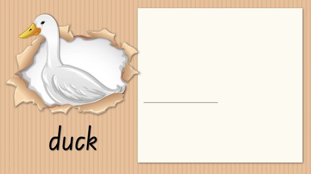 Educational Alphabet Animation for Letter D with a White Duck