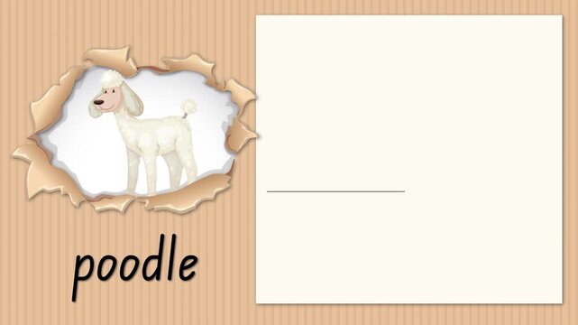Educational Alphabet Animation for Letter P with Poodle Illustration
