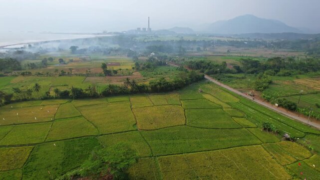Aerial drone footage of a wide green rice field with a road go until Ciletuh Geopark, from Pelabuhan Ratu, Sukabumi regency, Java island, Indonesia, with fire smokes, and the city and factory behind