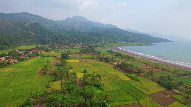 Aerial drone footage of a wide green rice fields with a road go until Ciletuh Geopark, from Pelabuhan Ratu, Sukabumi regency, Java island, Indonesia, in Loji beach bay, with mountains behind
