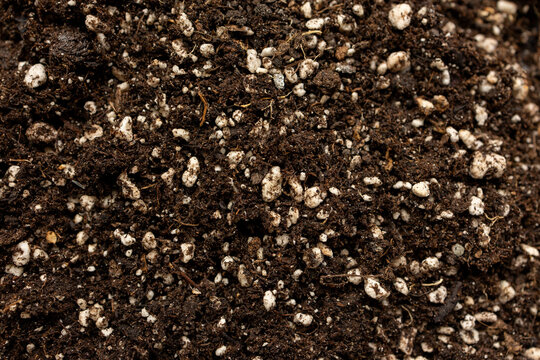 Potting soil texture with perlite for indoor plants background