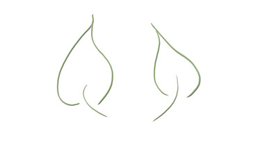 Obraz premium Minimalistische Blatt-Illustration, zwei grüne Blätter als Linienzeichnung auf weißem Hintergrund