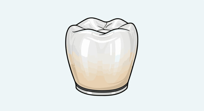Detailed illustration of a human molar tooth with enamel, dentin, and gingival margin