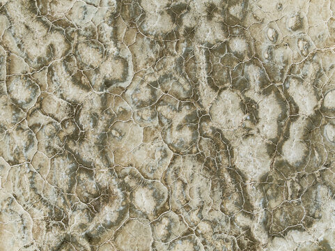 Aerial view of cracked earth revealing intricate patterns of beige and brown, etched by time and nature's hand, Walvis Bay, Erongo Region, Namibia.
