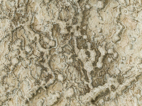 Aerial view of intricate patterns etched into the parched earth, a mosaic of beige and brown hues creating a starkly beautiful landscape, Walvis Bay, Erongo Region, Namibia.