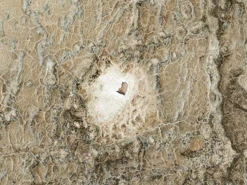 Aerial view of cracked earth surrounding a bright white patch with a small dark shape at the center, Walvis Bay, Erongo Region, Namibia.