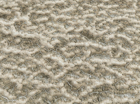 Aerial view of the cracked earth, a tapestry of arid textures baking under the sun, Walvis Bay, Erongo Region, Namibia.