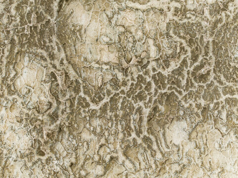 Aerial view of the abstract patterns of cracked earth and parched landscape, a tapestry of beige and brown stretching to the horizon, Walvis Bay, Erongo Region, Namibia.