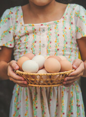 The child picks up the eggs in the chicken coop. Selective focus. © yanadjan