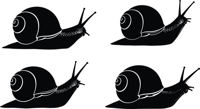 Snail silhouettes with spiral shells, detailed antennae, vector illustration for artwork, design, nature, biology themes