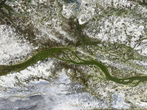 Aerial view of the sinuous green channels carve through the stark white landscape, creating a mesmerizing contrast of life and desolation., Walvis Bay, Erongo Region, Namibia.