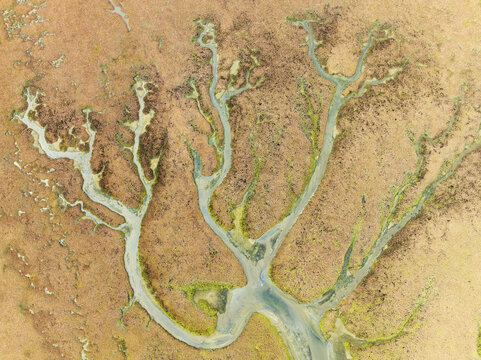 Aerial view of intricate waterways carve through the ochre landscape, creating a tapestry of textures and tones, Walvis Bay, Erongo Region, Namibia.