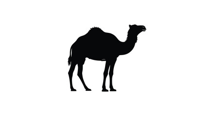 A striking black silhouette of a dromedary camel stands prominently against a clean white background silhouette high quality © Jahid