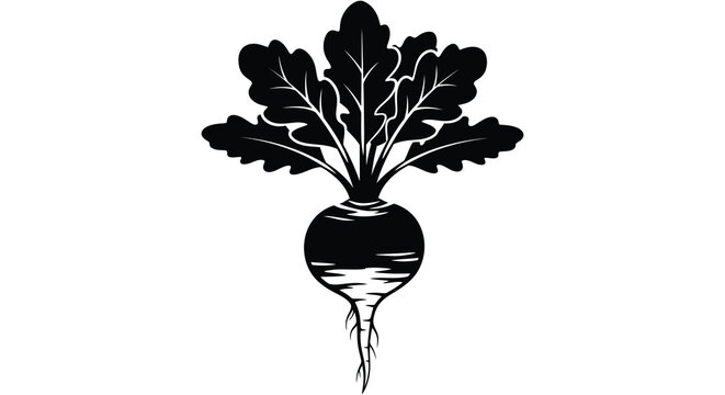 A striking black silhouette depicts a vibrant beet with leafy greens and a visible root structure silhouette