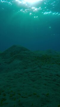 Vertical footage, Seabed with sandy hills in bright sunbeams at sunset, Camera moves forward above hilly sand bottom in the evening light, Natural background of underwater desert scenery