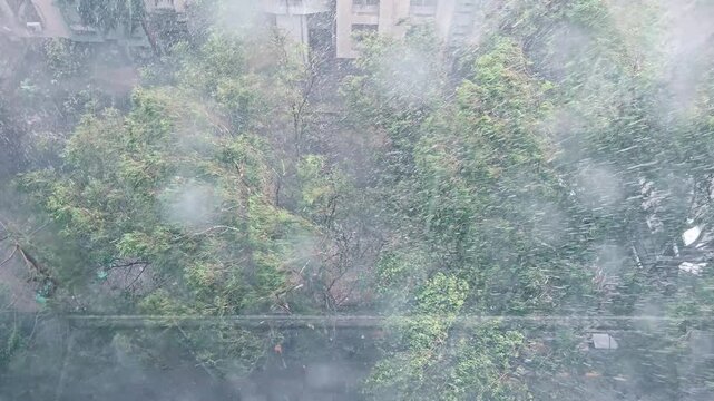Rainfall in Software City &ndash; Urban Life in Motion