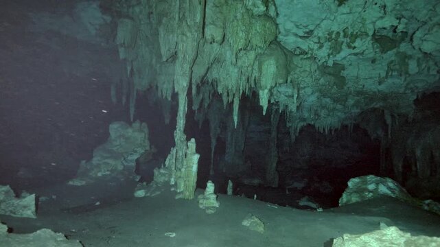 Large mineral columns formed by stalactites and stalagmites rise from the floor of a submerged limestone cave in Cenote Dos Ojos, Mexico