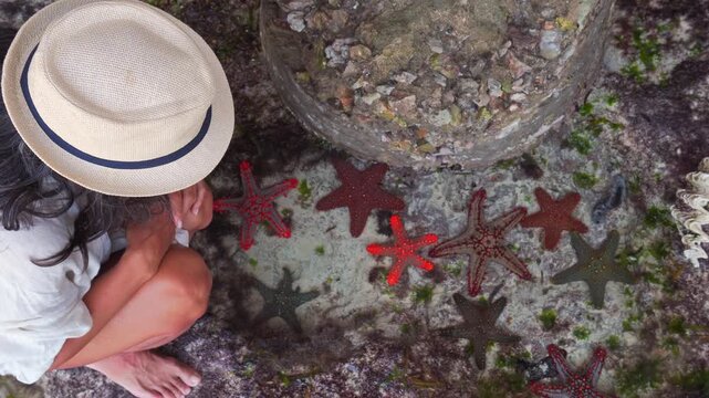 Tourist woman enjoy admire cluster of colorful red-knobbed starfish in shallow tropical water. Top-down view showcasing authentic nature exploration in Zanzibar. Mtende beach. Private marine tour
