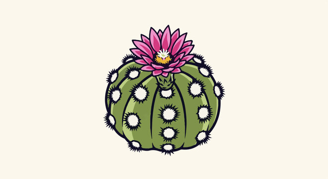 Green globular cactus with vibrant pink bloom and white, spiky areoles