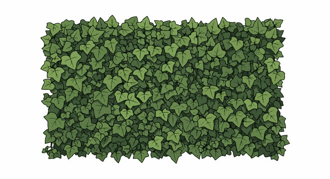 A dense, cartoon-style, green ivy plant covers a rectangular area