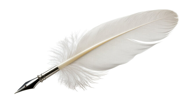 Isolated elegant white feather quill pen with shiny metallic silver nib for classic writing