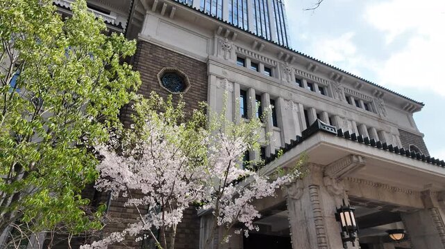 九段会館と桜の花　東京都千代田区　3月