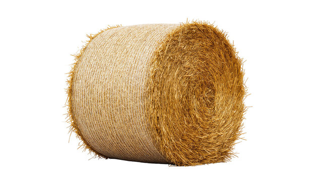 Isolated golden hay bale, round farm straw roll from dry harvested field crop