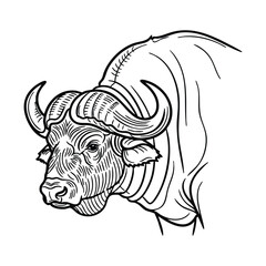 Obraz premium A detailed black and white line art drawing of a powerful buffalo head with large horns, showcasing intricate details.