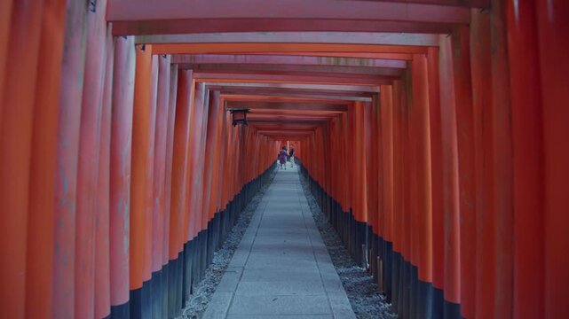 早朝に伏見稲荷神社の千本鳥居を通る