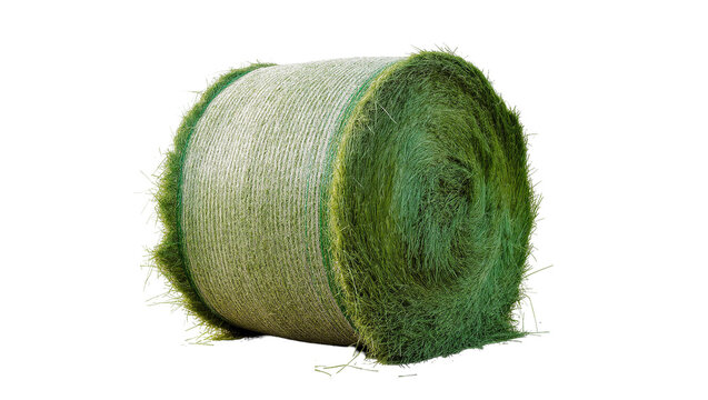 Isolated fresh green round hay bale for farm animal forage agricultural feed livestock