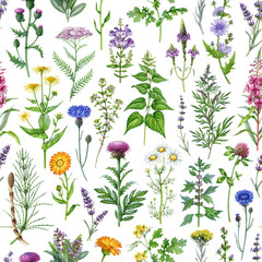 Apothecary herbs seamless pattern decor element. Hand drawn medicinal plants botanical watercolor illustration, for herbal medicine, natural cosmetics, packaging, textile and surface design. © anitapol