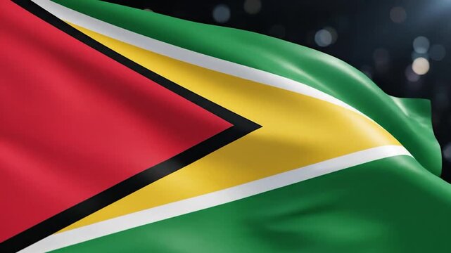 A vibrant national flag with bold geometric shapes and distinct color bands ripples gently in the wind against a softly blurred background of lights