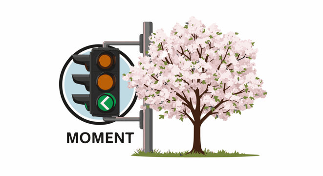 Traffic light signals caution near a blooming cherry blossom tree