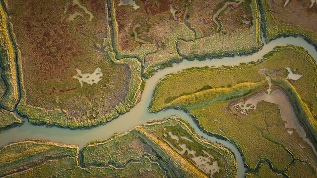 Aerial view of winding waterways carving through a tapestry of verdant and earthy tones, a symphony of nature's artistry, Ambon, Brittany, France.