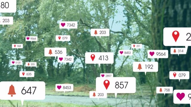 pin appearing by trunk starting callouts animating across clearing, showing social metrics