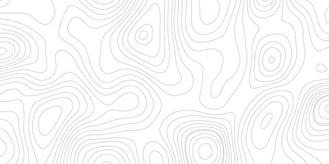 Fototapeta premium white background with abstract topographic grey contour lines creating a seamless pattern design A Perfect Fusion of Geometric Grid Lines, and Minimalist Design Elements