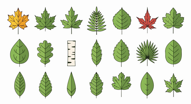 Collection of varied stylized tree leaves and a piece of bark