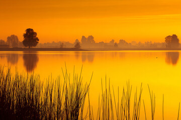 Golden sunrise reflecting on calm water surface