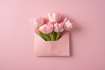 Fototapeta premium Pink tulips in envelope for Mother's Day card and gift on pastel background