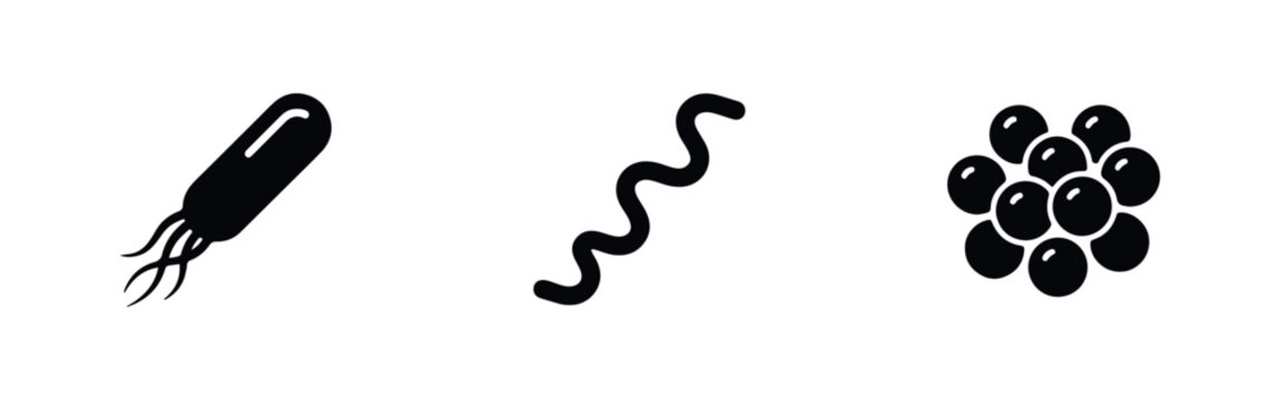 Black and white icons representing different bacteria types: rod-shaped bacillus with flagella, spiral spirochete, and round cocci cell clusters.
