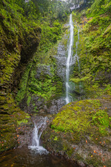 High waterfall on a steep cliff covered with moss and ferns in the mountains of Madeira © Chris