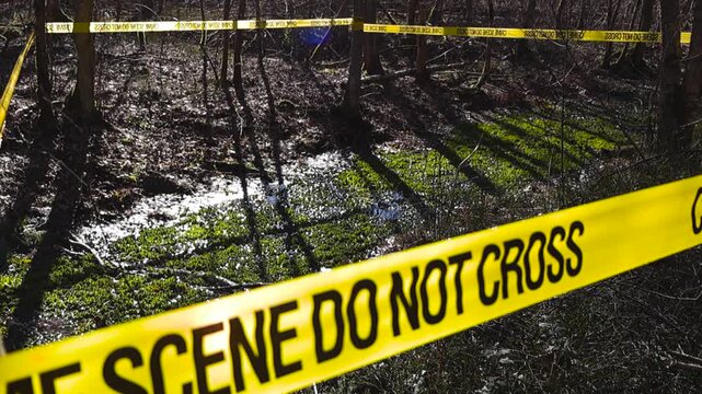 Yellow crime scene tape marking an investigation area in the woods or bog wetlands