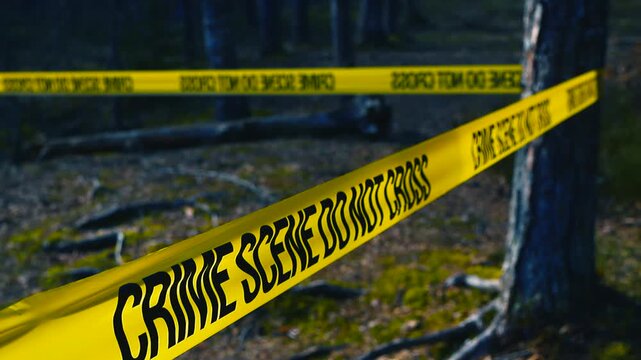 Yellow police tape enclosing a crime scene in the woods