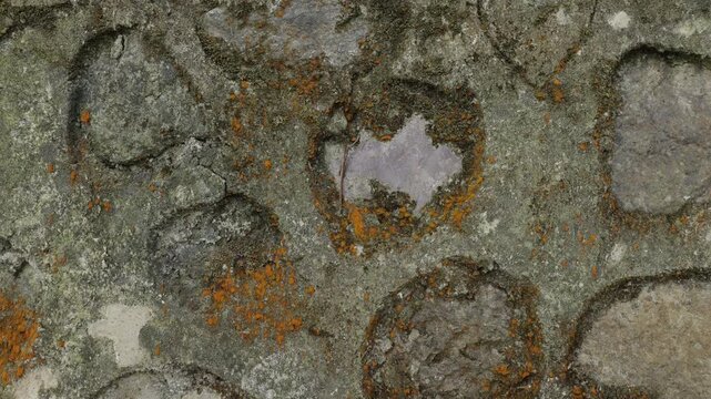 Close-up shot of old stone pavement with textures and details