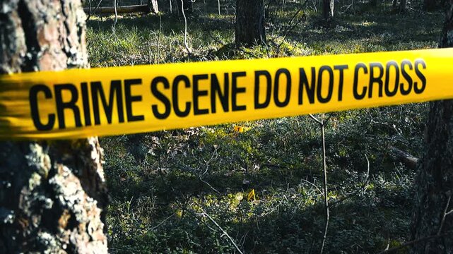 Crime scene do not cross tape securing a forest area