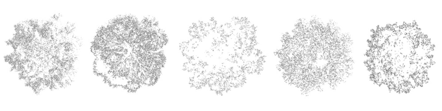 Set of trees in plan view for use in architectural drawings - isolated on transparent background
