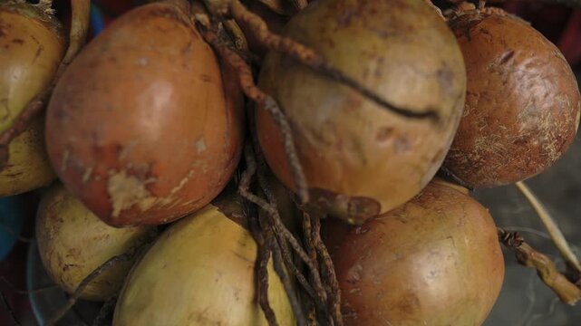 Closeup Of Tropical Coconut Arrangement. Rugged Table Featuring Fibrous Coconuts And Vendor Setup. Tropical Vendor Stall Showcasing Brown Coconuts With Textured Husks And Stems In Detailed Focus