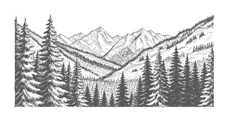Hand drawn coniferous forest and mountain range landscape trees pine mountains © Md
